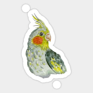 Cockatiel Sticker